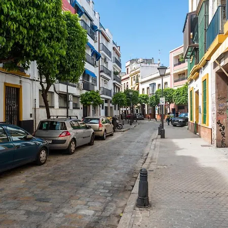 Setas Luxury * Sevilla
